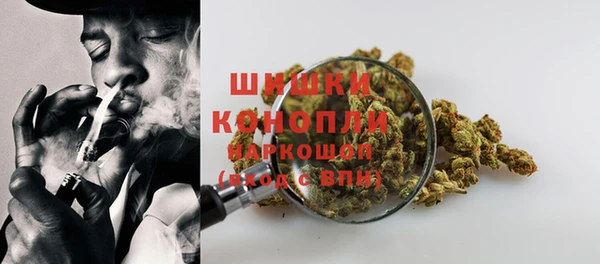 ПСИЛОЦИБИНОВЫЕ ГРИБЫ Балабаново