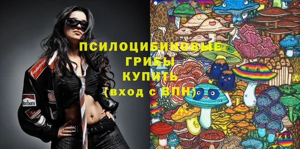 spice Баксан