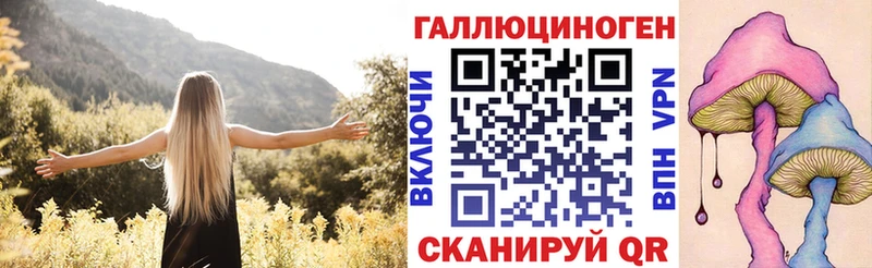 Псилоцибиновые грибы Psilocybe Лабытнанги